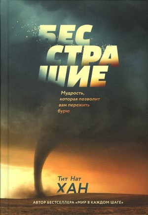 Бесстрашие. Мудрость, которая позволит вам пережить бурю