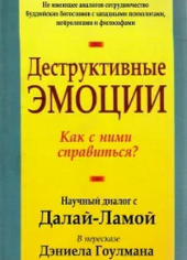 Деструктивные эмоции. Как с ними справиться?